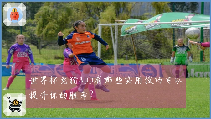 世界杯竞猜App有哪些实用技巧可以提升你的胜率？