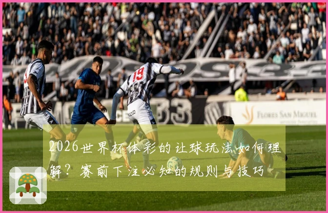 2026世界杯体彩的让球玩法如何理解？赛前下注必知的规则与技巧