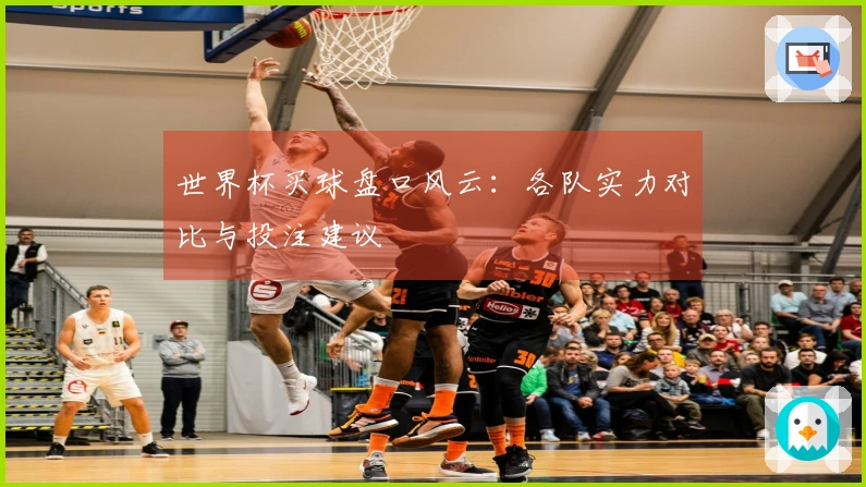 世界杯买球盘口风云：各队实力对比与投注建议